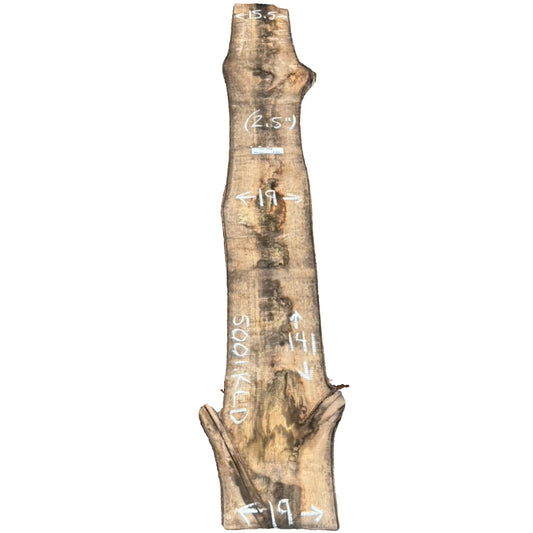 Tulip Poplar Live Edge Slab 5001.KLD