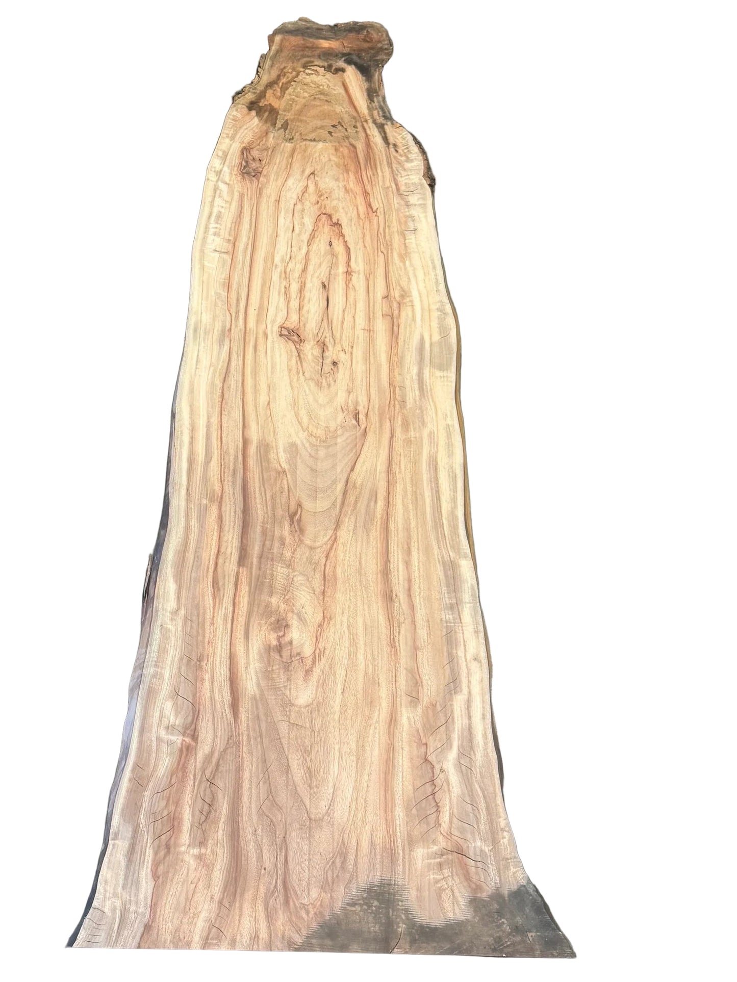 Camphor Live Edge Slab S2S 5048.KLD