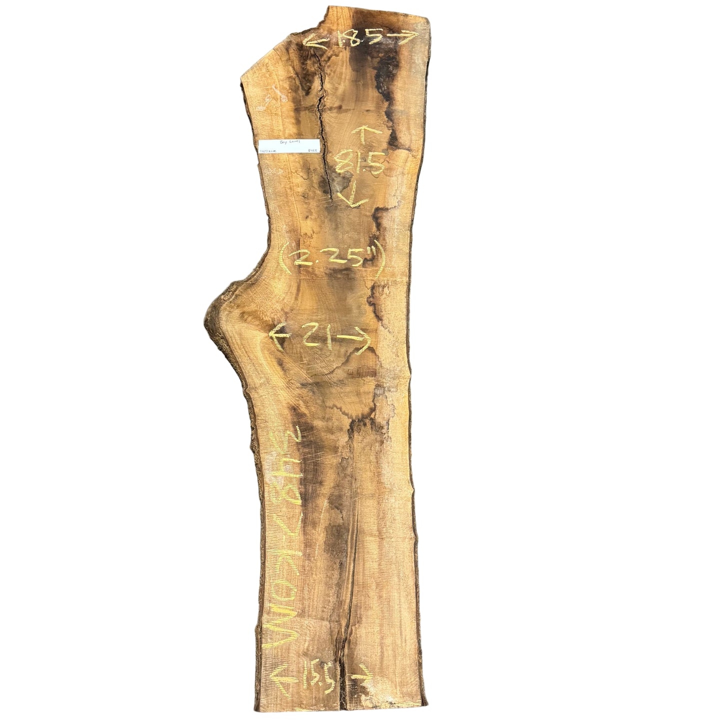 Bay Laurel Live Edge Slab 3487.KOM