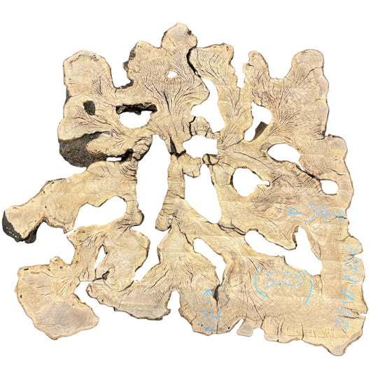 Olive Cookie S2S 2241.KBR