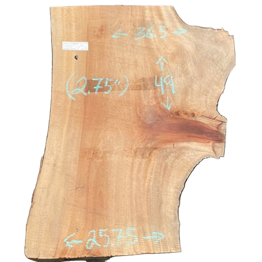 Camphor Live Edge Slab 2322.KBR