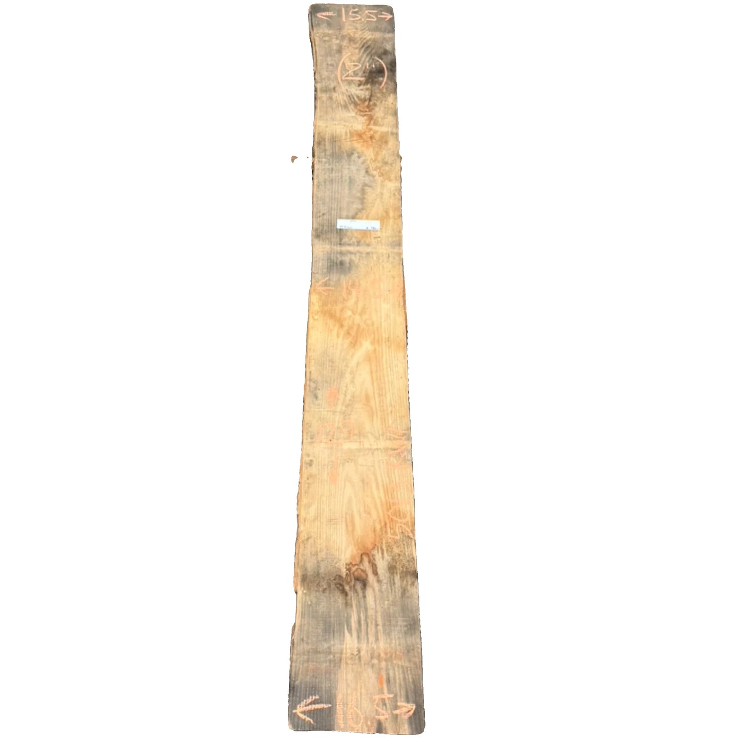 Ash Live Edge Slab 5013.KWI