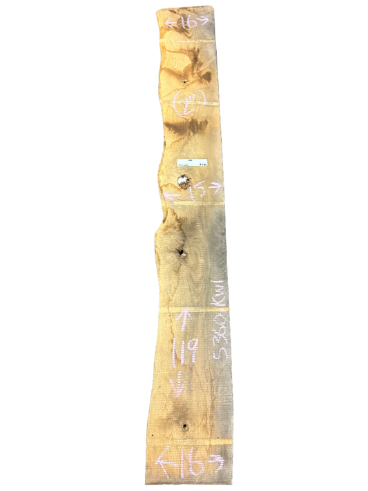 ash live edge wood slab