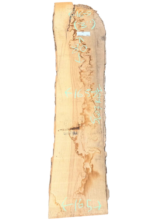 Ash Live Edge Slab 5603.KWI