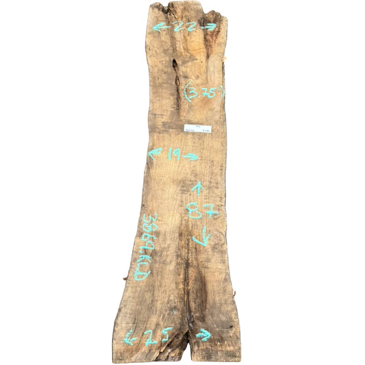 Ash Live Edge Slab 3869.KLD