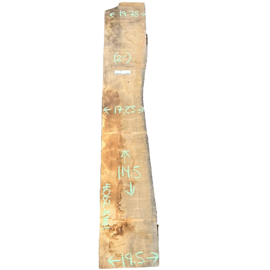 Ash Live Edge Slab 4062.KWI