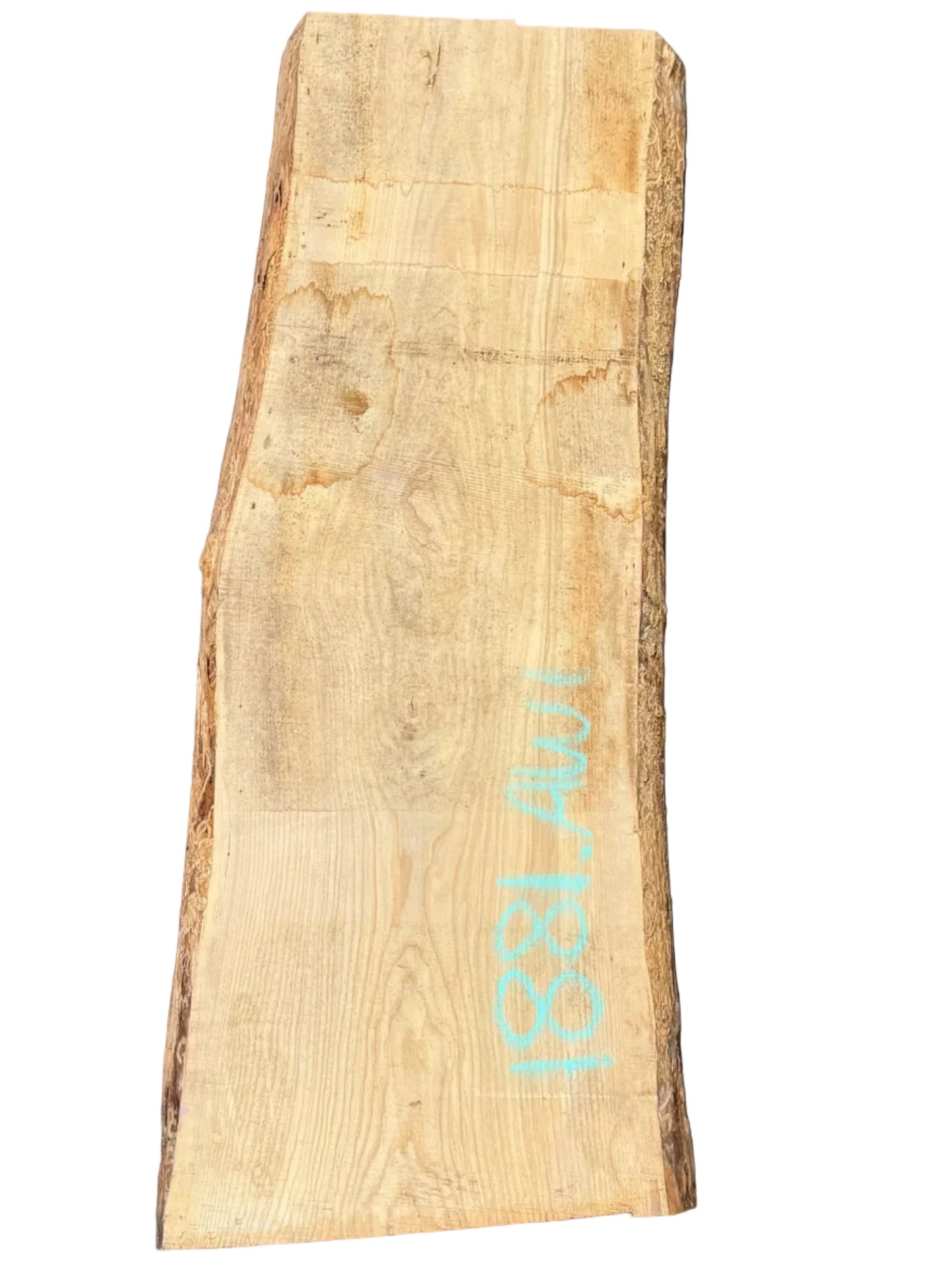 Ash Live Edge Slab 1881.KWI
