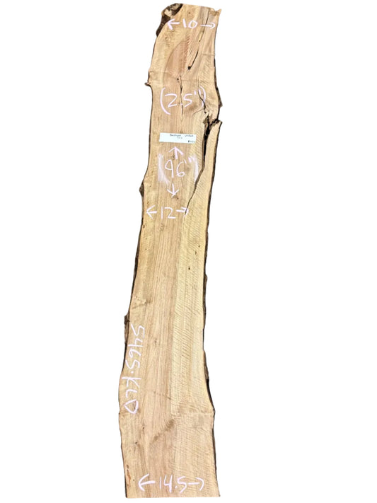 Bastogne Walnut Live Edge Slab S2S 5465.KLD