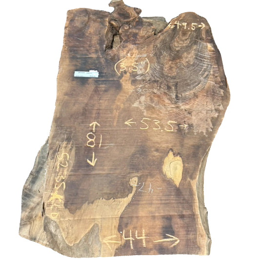 Bastogne Walnut Live Edge Slab 5235.KLD