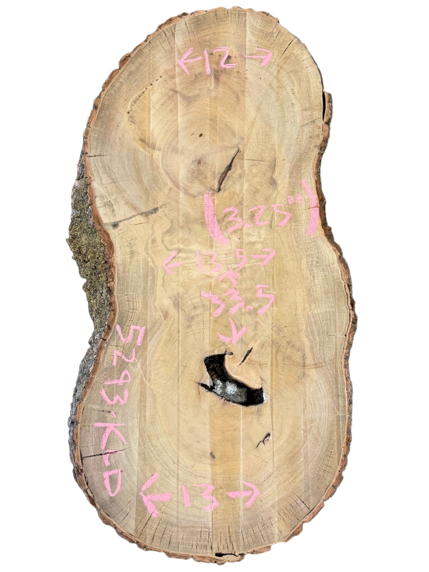 Bay Laurel Cookie S2S 5293.KLD