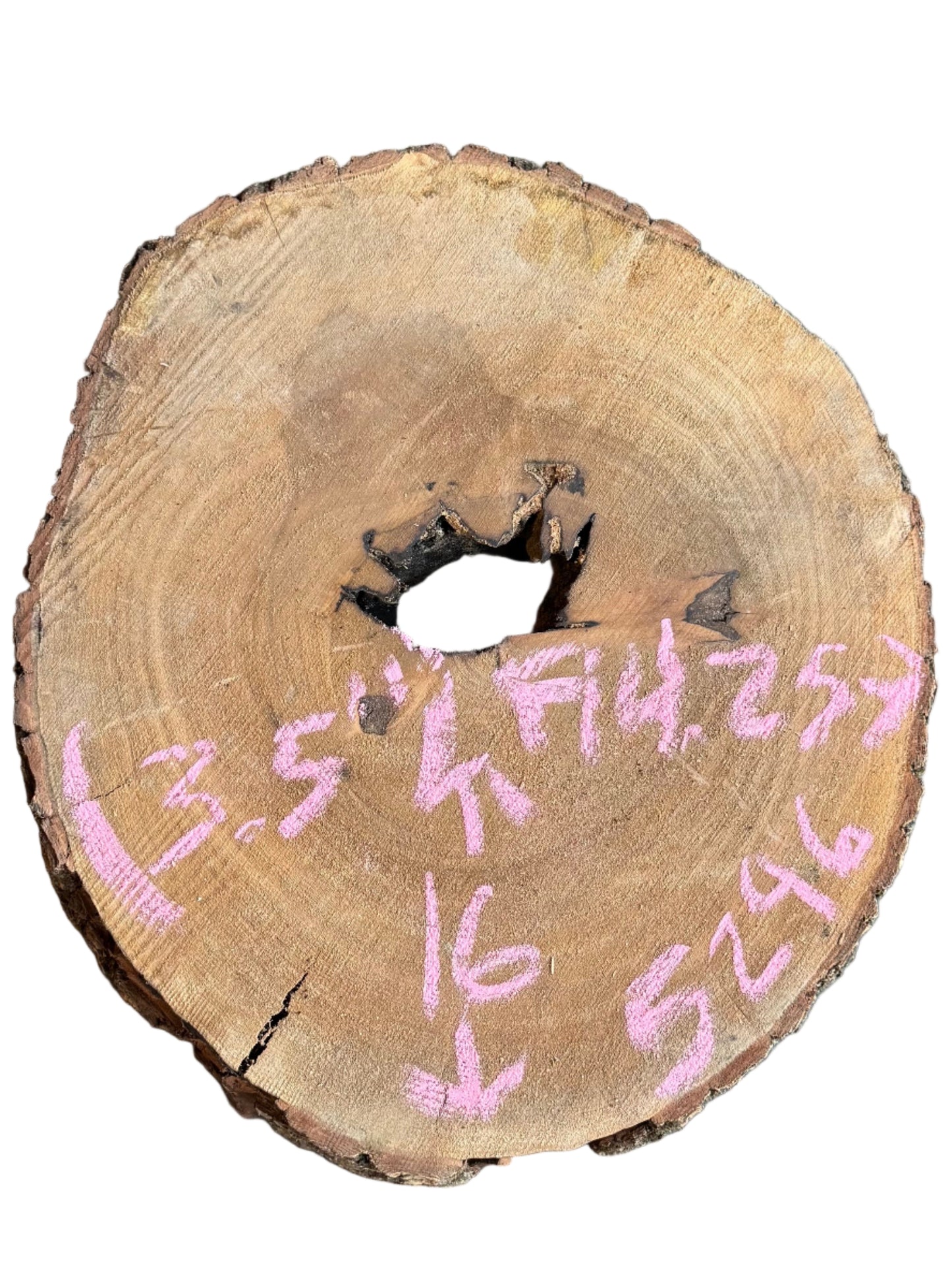 Bay Laurel Cookie 5296.KLD