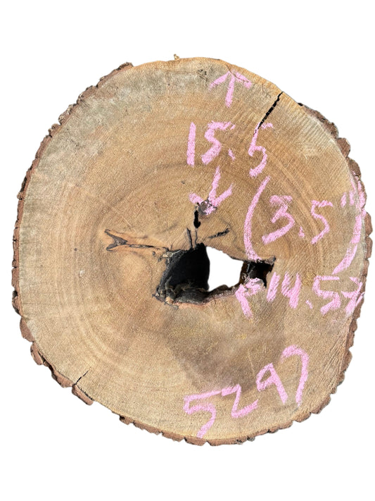 Bay Laurel Cookie 5297.KLD