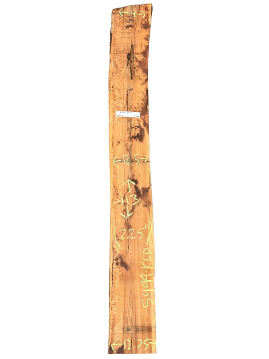 Black Acacia Live Edge Slab 5499.KLD