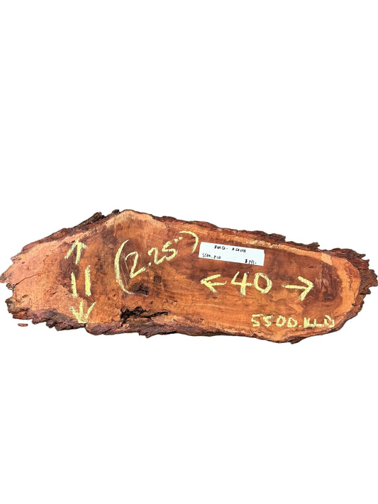 Black Acacia Cookie 5500.KLD