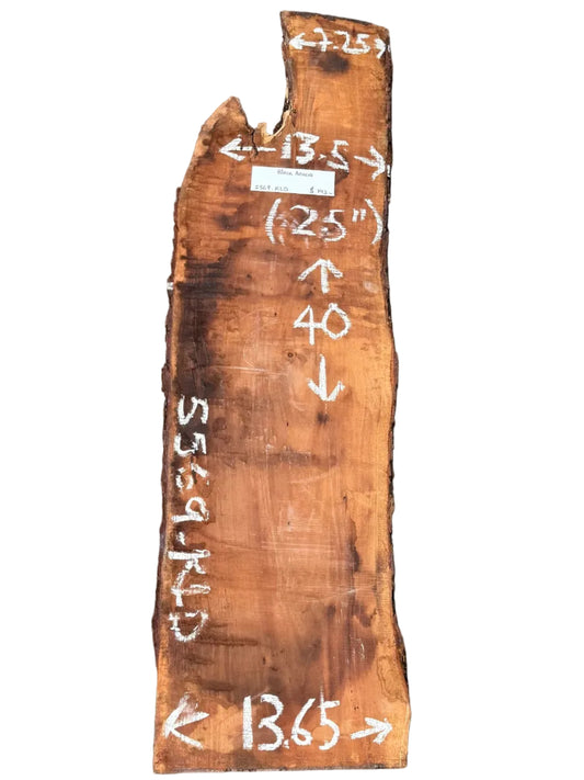 Black Acacia Live Edge Slab 5569.KLD