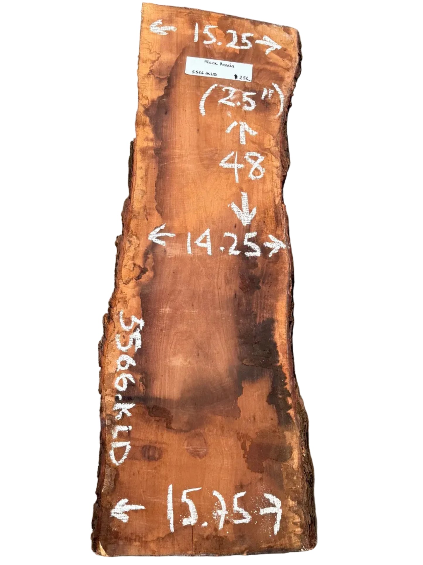Black Acacia Live Edge Slab 5566.KLD