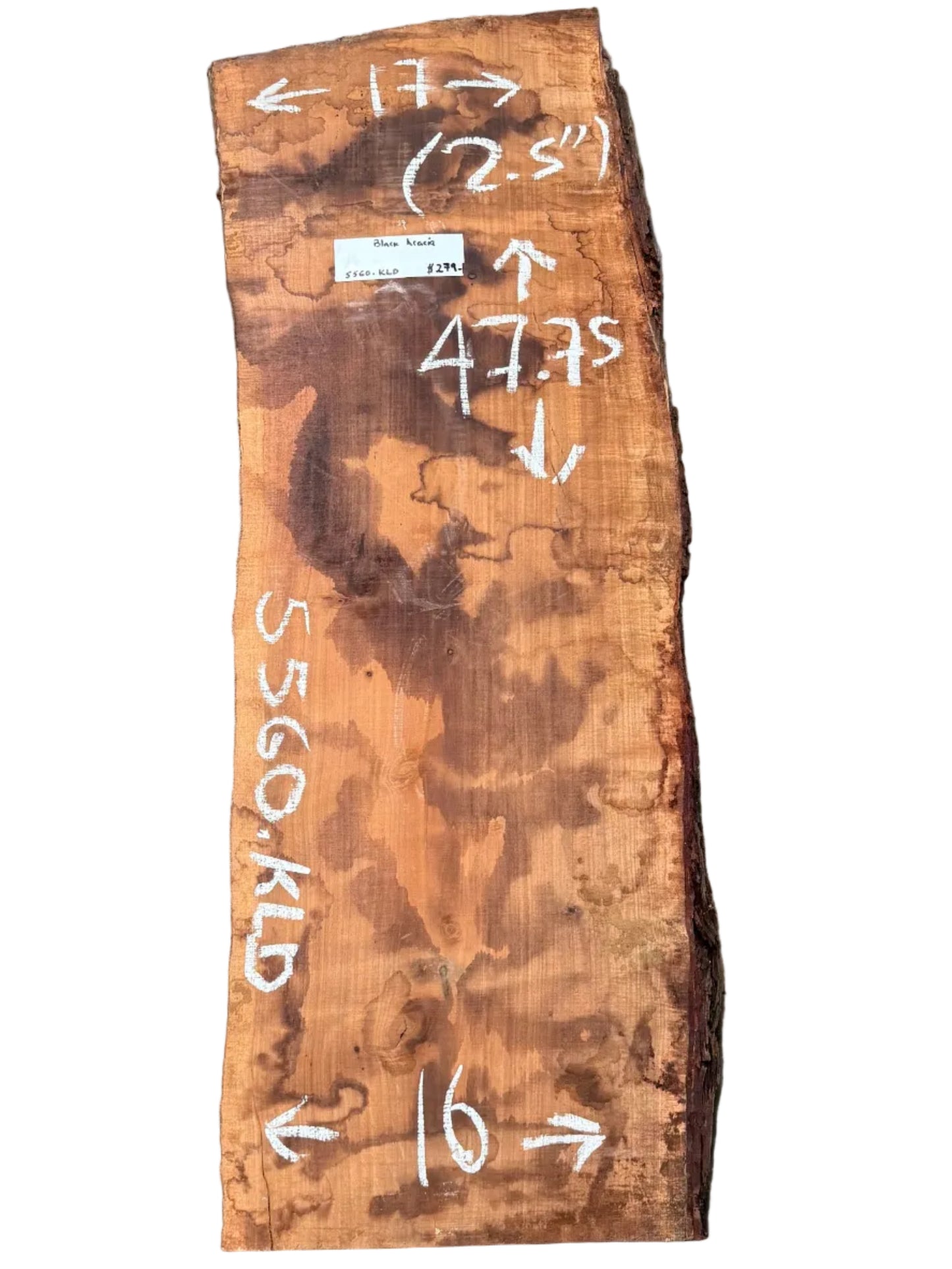 Black Acacia Live Edge Slab 5560.KLD