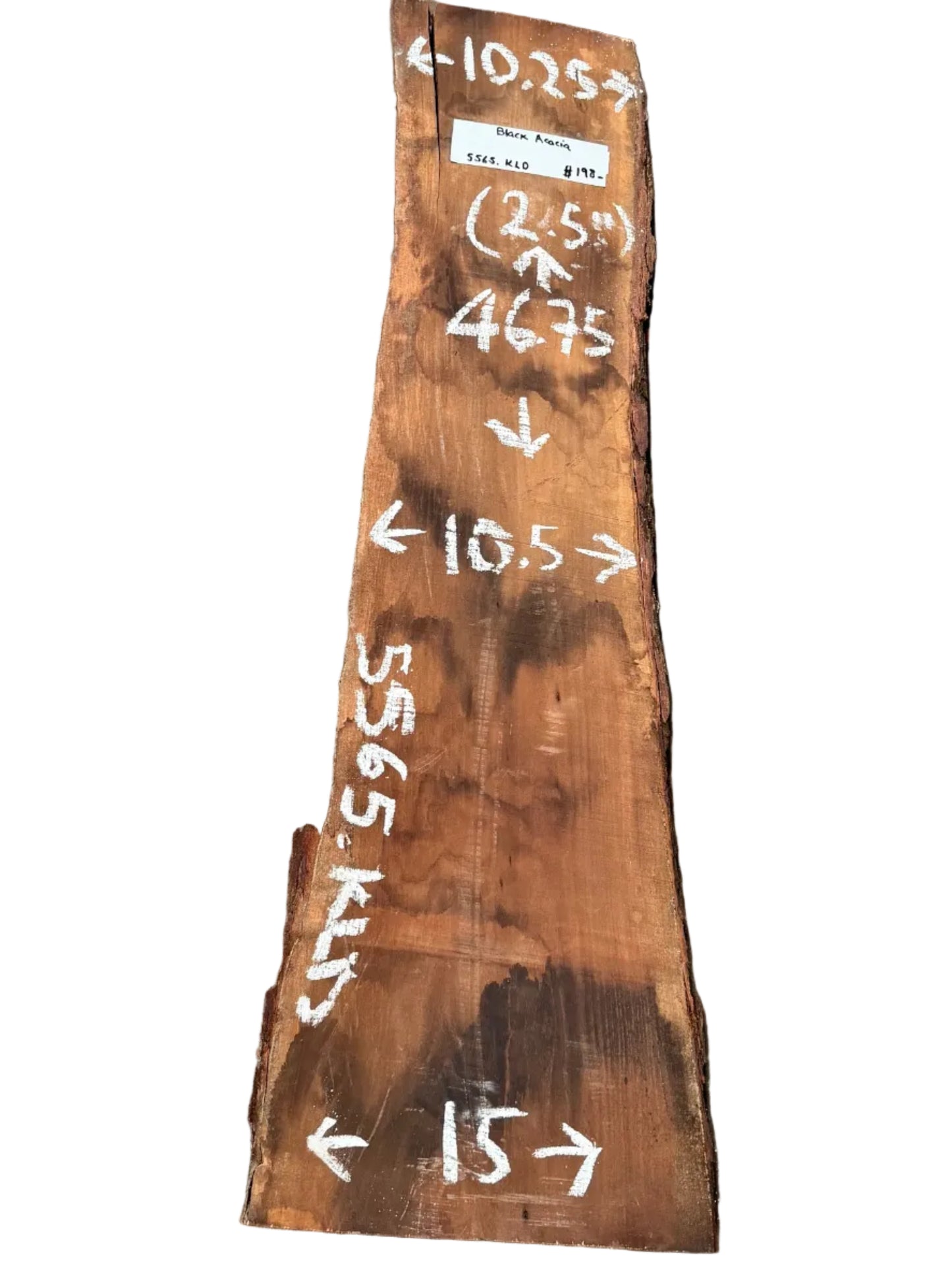 Black Acacia Live Edge Slab 5565.KLD