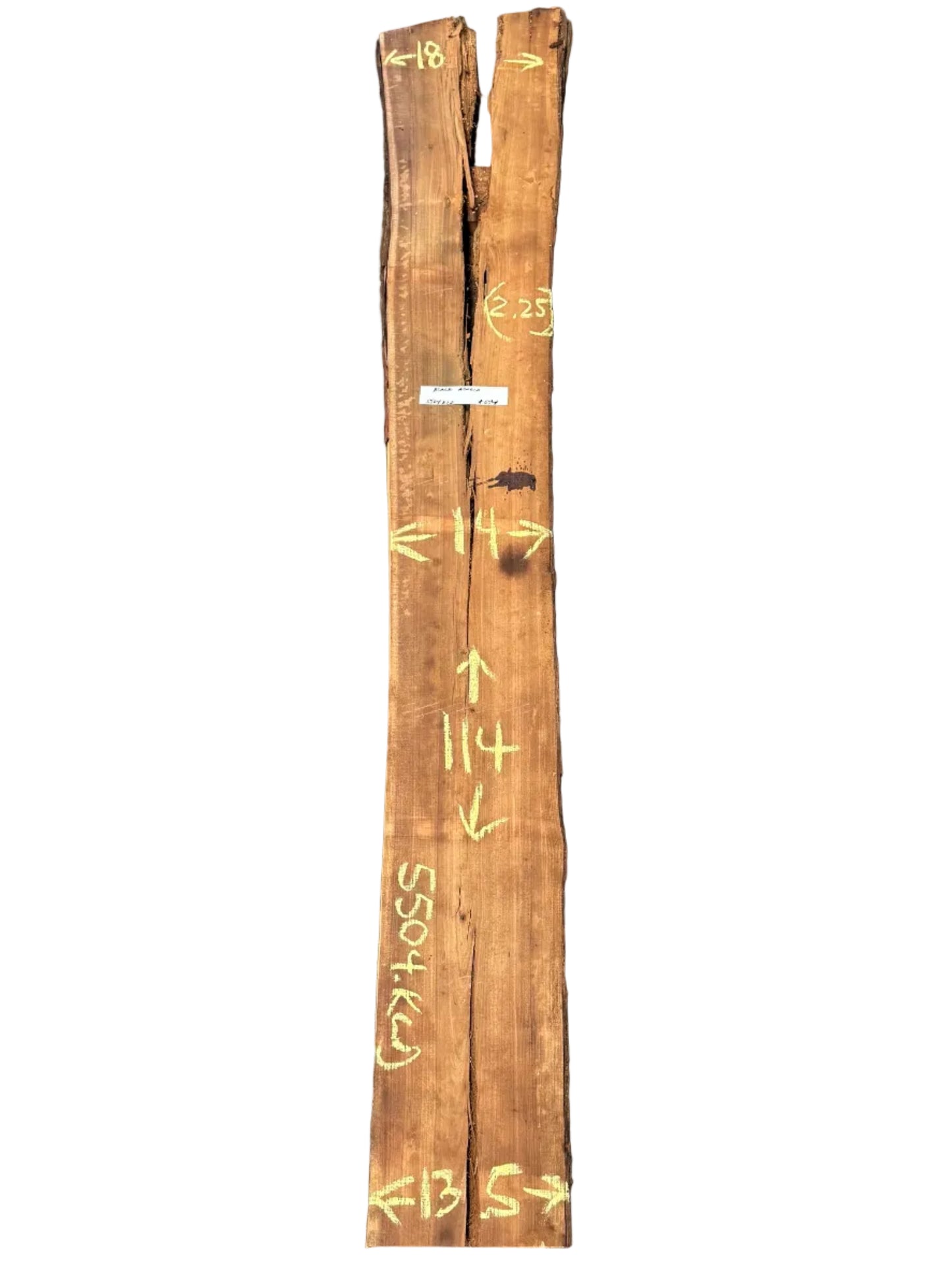 Black Acacia Live Edge Slab 5504.KLD