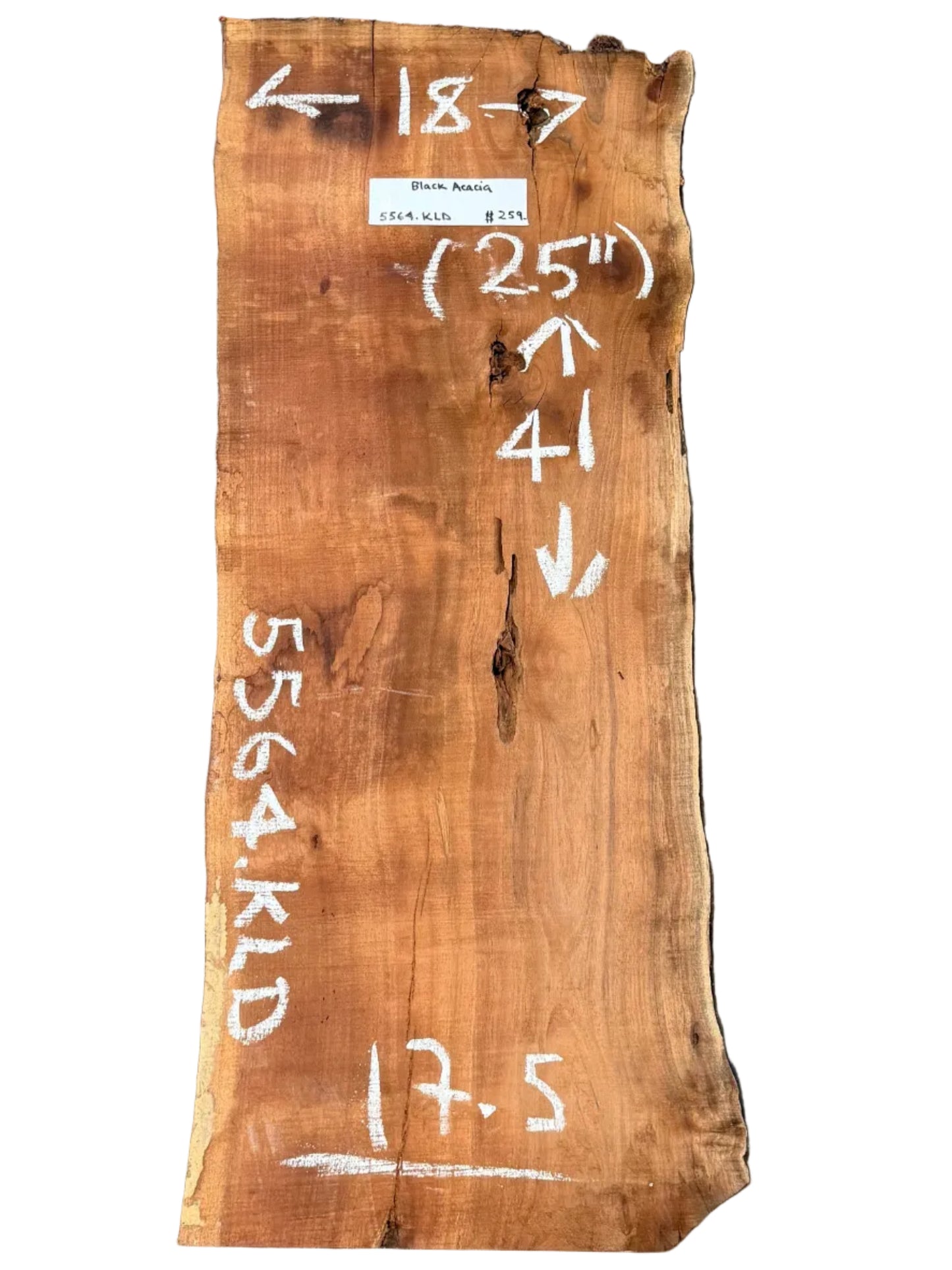 Black Acacia Live Edge Slab 5564.KLD