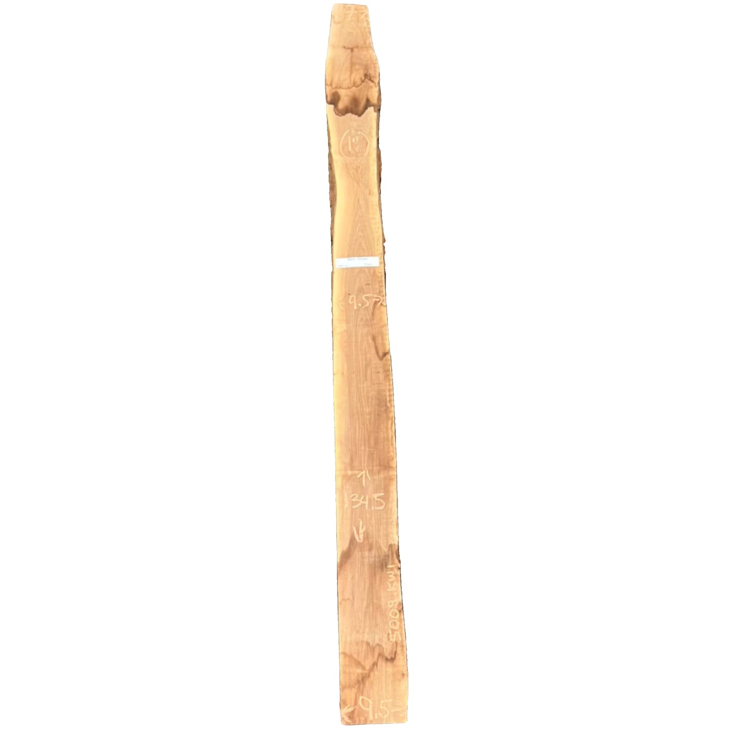 Black Walnut Live Edge Slab 5009.KWI