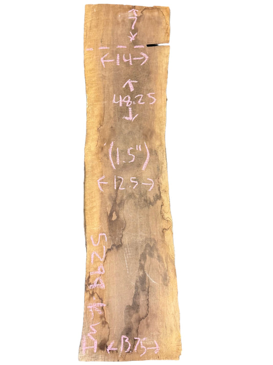 Black Walnut Live Edge Slab 5299.KWI