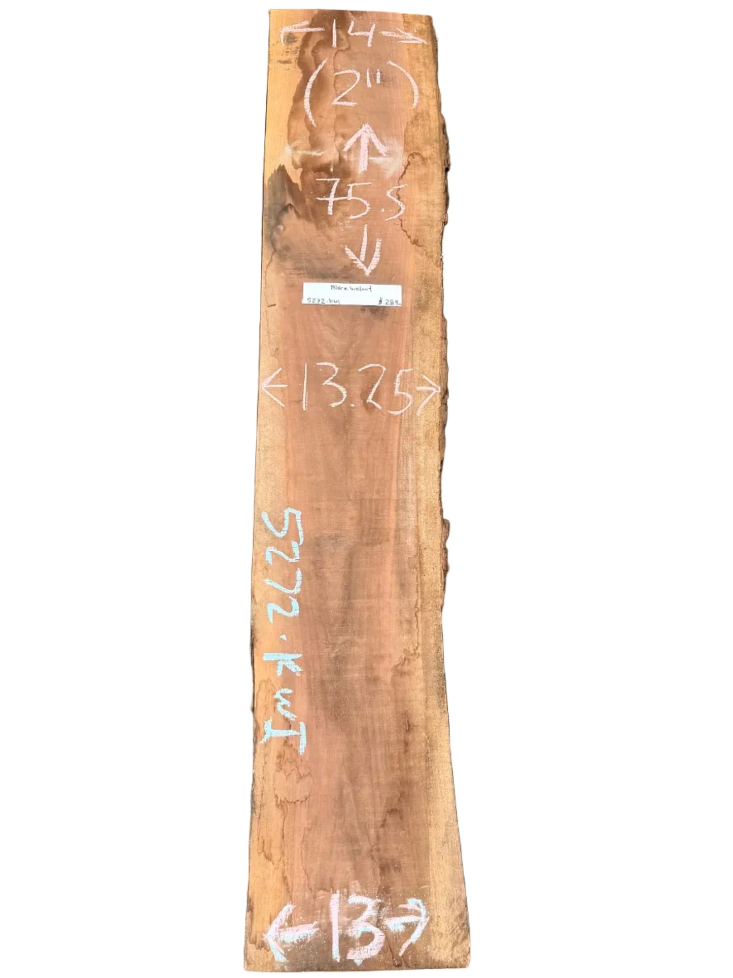 Black Walnut Live Edge Slab 5272.KWI
