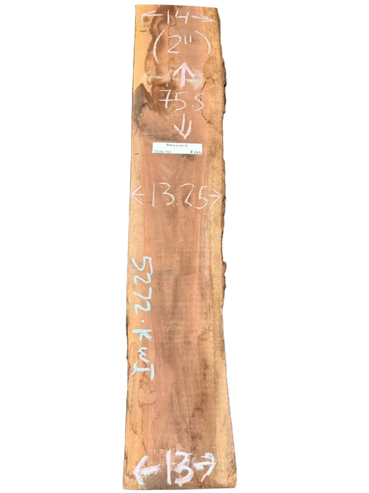 Black Walnut Live Edge Slab 5272.KWI
