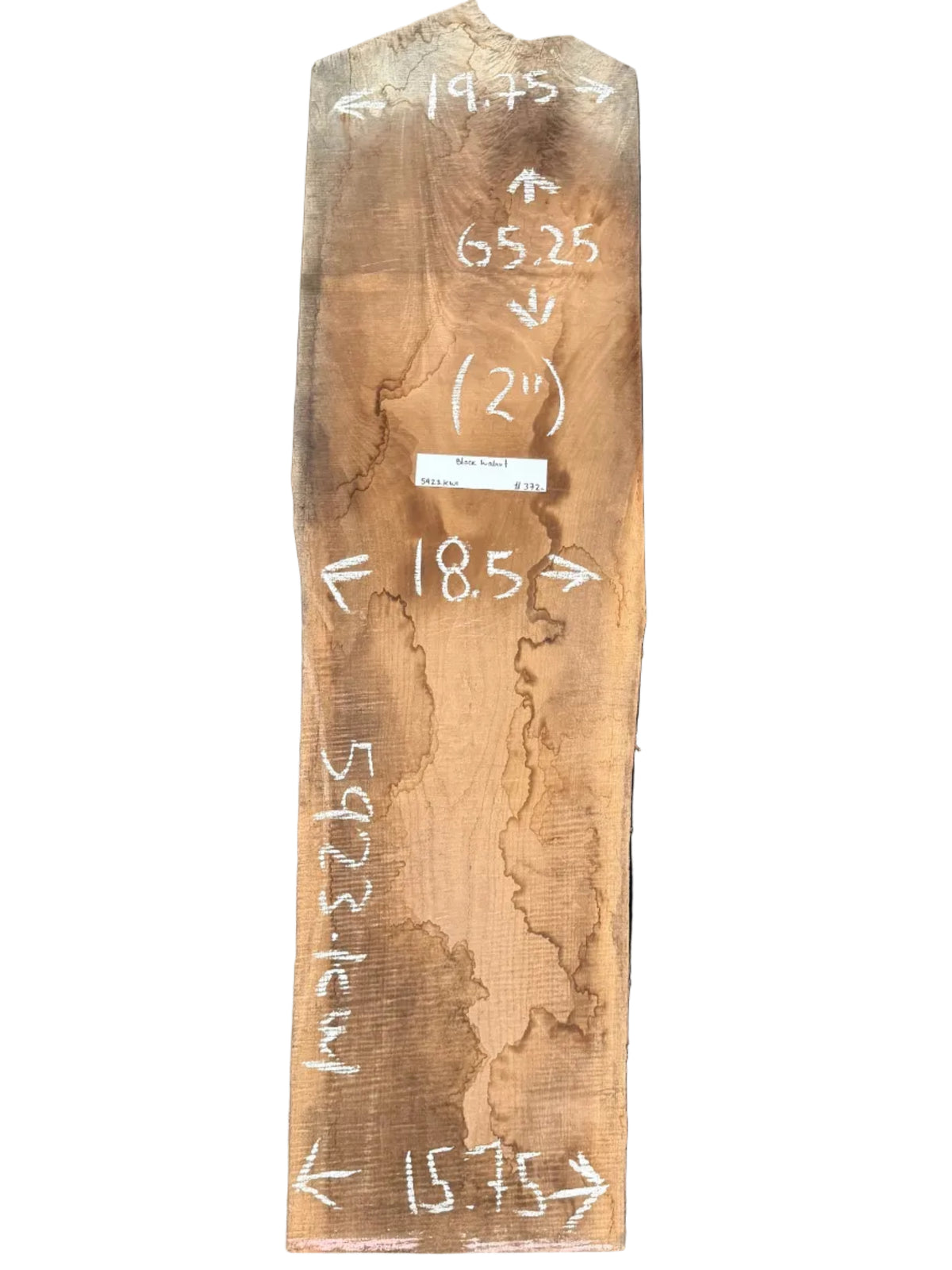 Black Walnut Live Edge Slab 5923.KWI