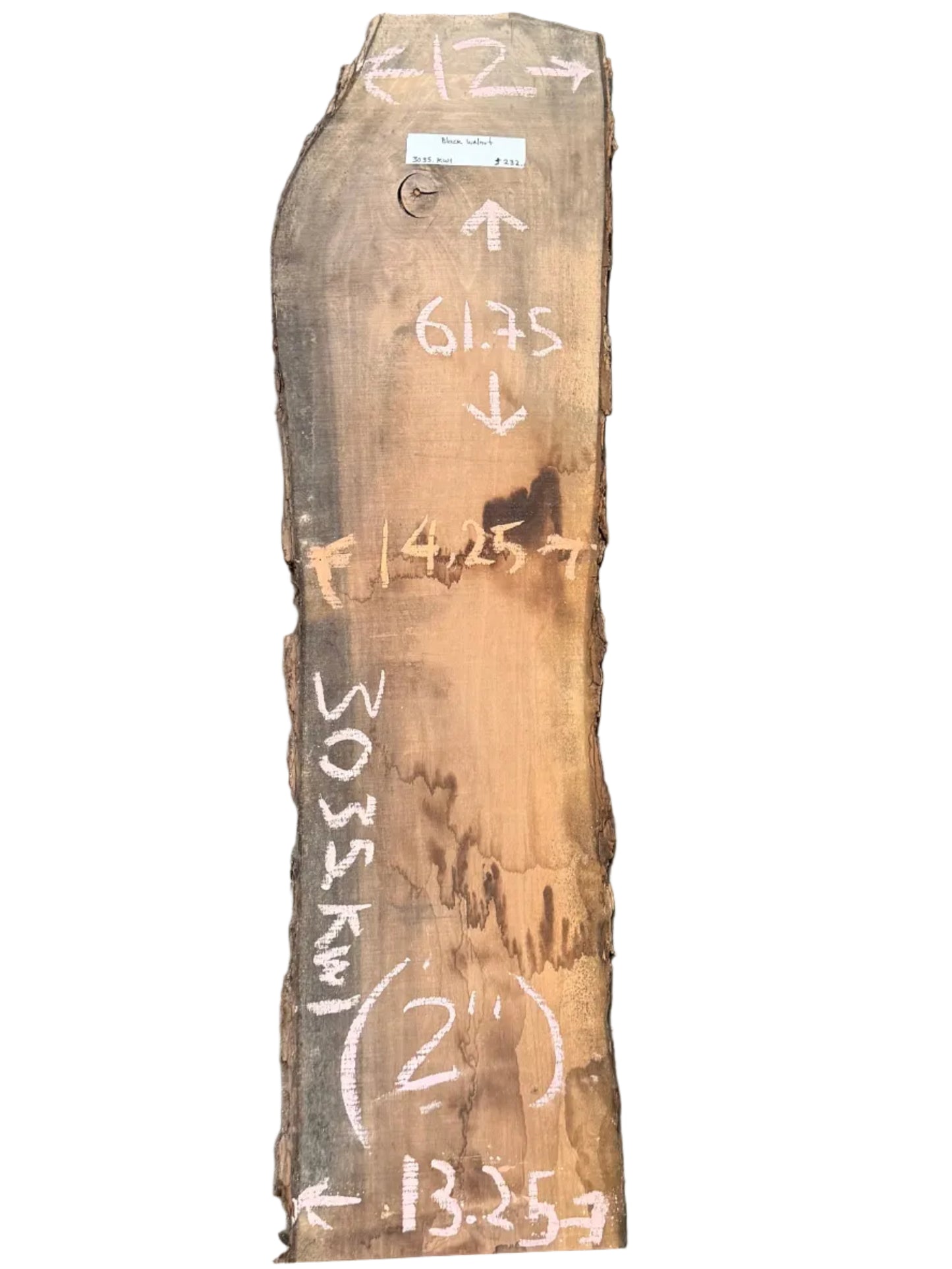Black Walnut Live Edge Slab 3035.KWI
