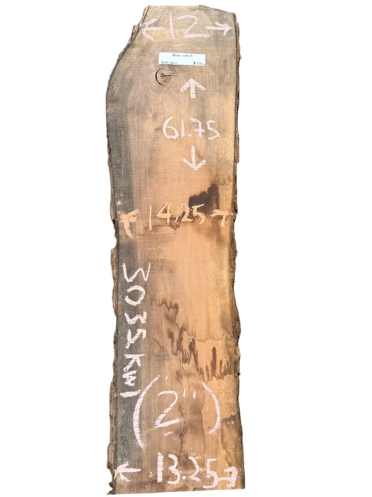 Black Walnut Live Edge Slab 3035.KWI