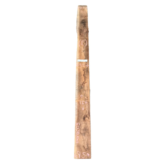 Black Walnut Live Edge Slab 5038.KWI