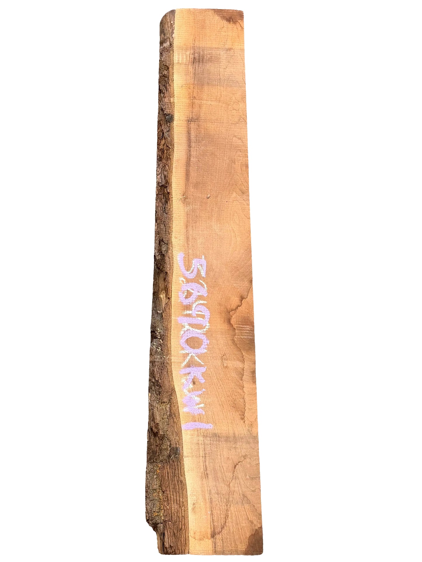 Black Walnut Live Edge Slab 5690.KWI