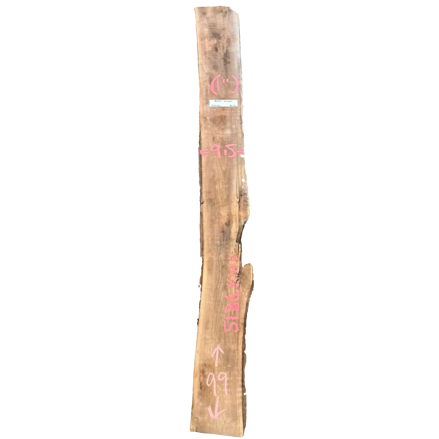 Black Walnut Live Edge Slab 5186.KWI