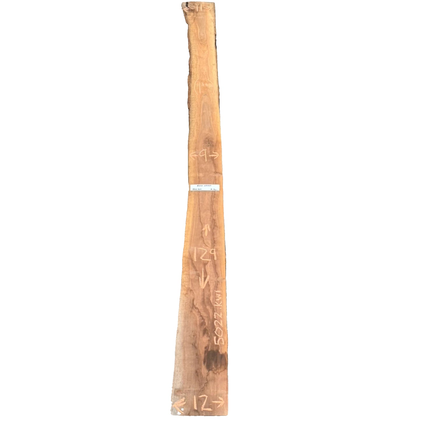 Black Walnut Live Edge Slab 5022.KWI