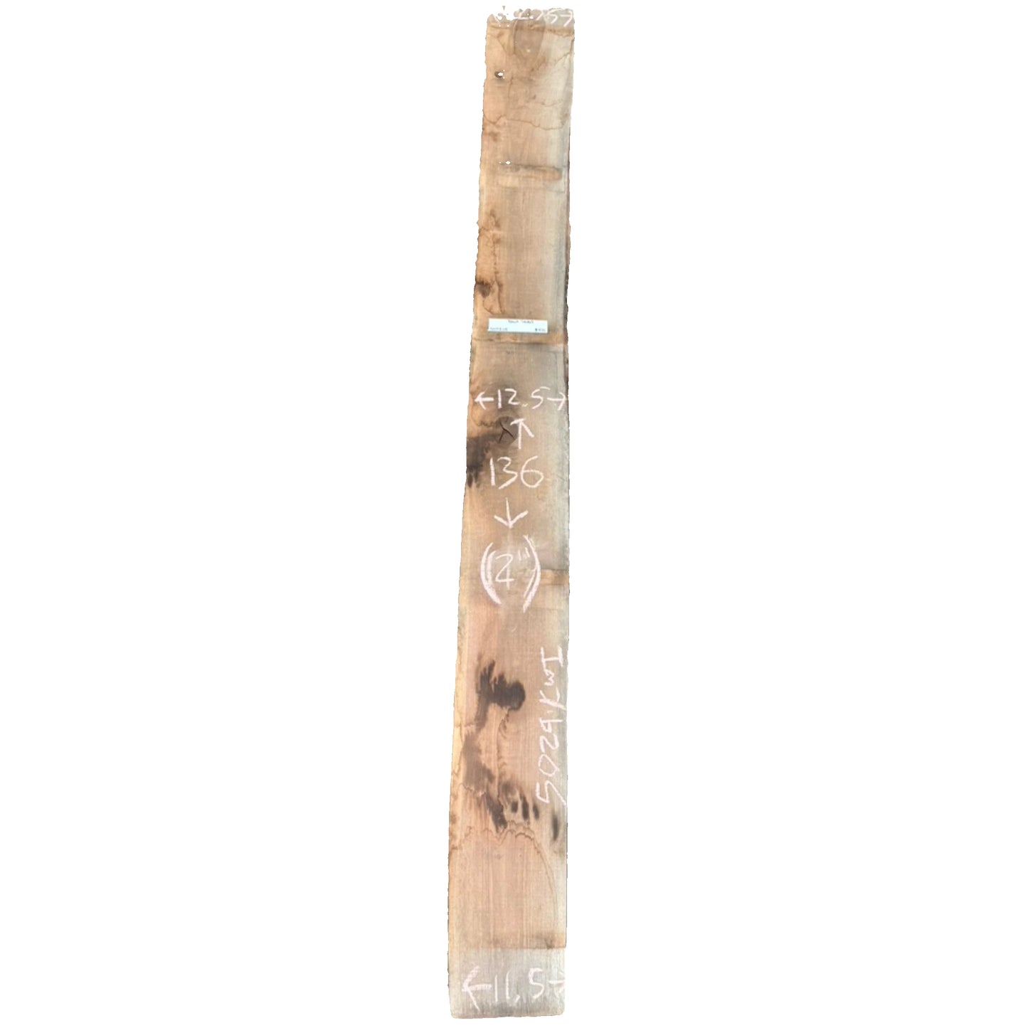 Black Walnut Live Edge Slab 5029.KWI