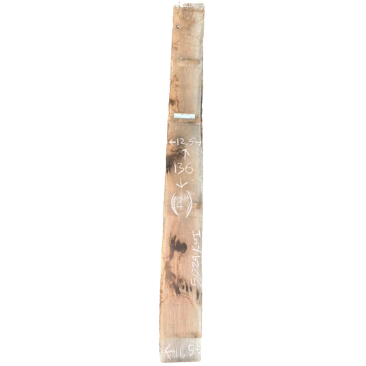 Black Walnut Live Edge Slab 5029.KWI