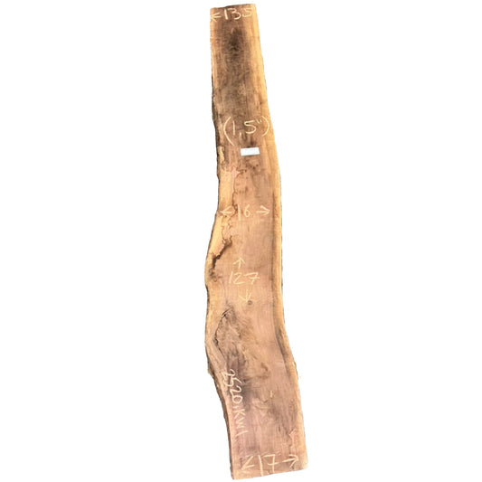 Black Walnut Live Edge Slab 2520.KWI