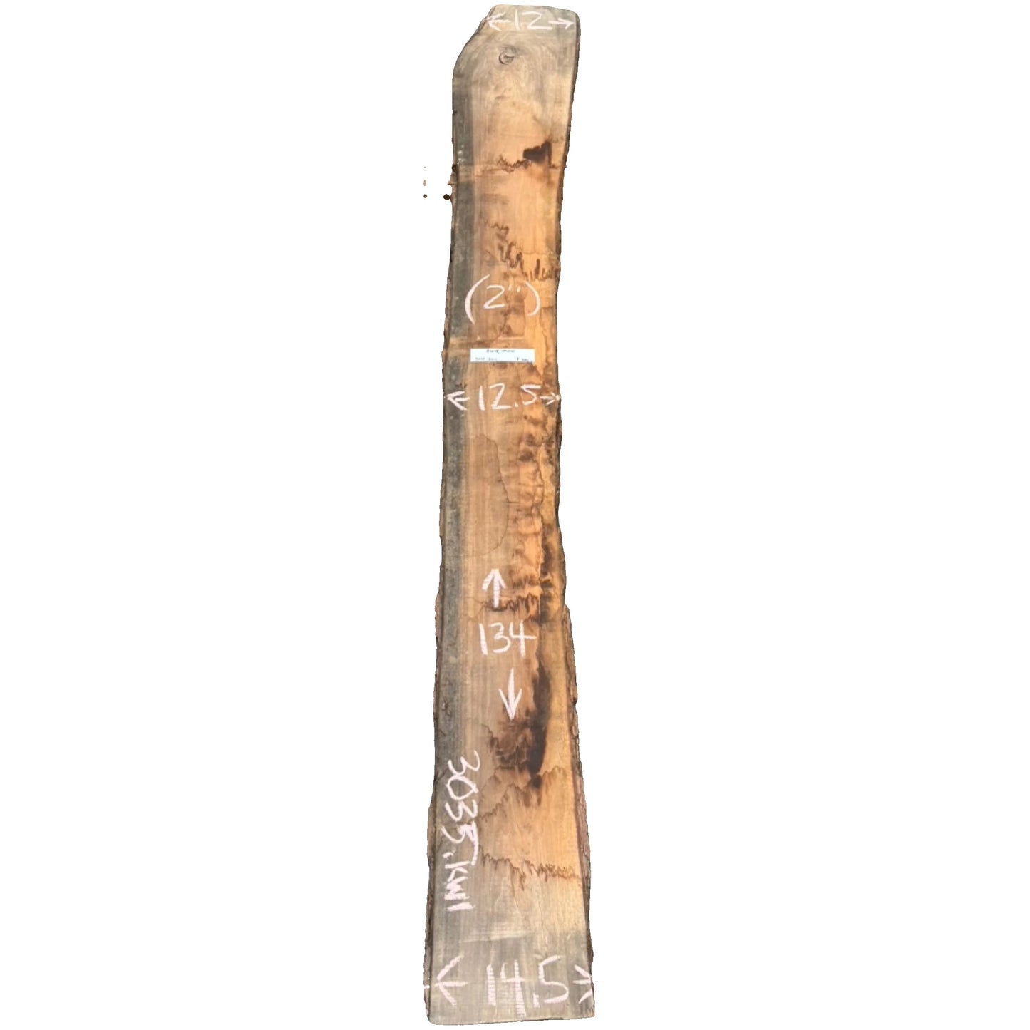 Black Walnut Live Edge Slab 3035.KWI