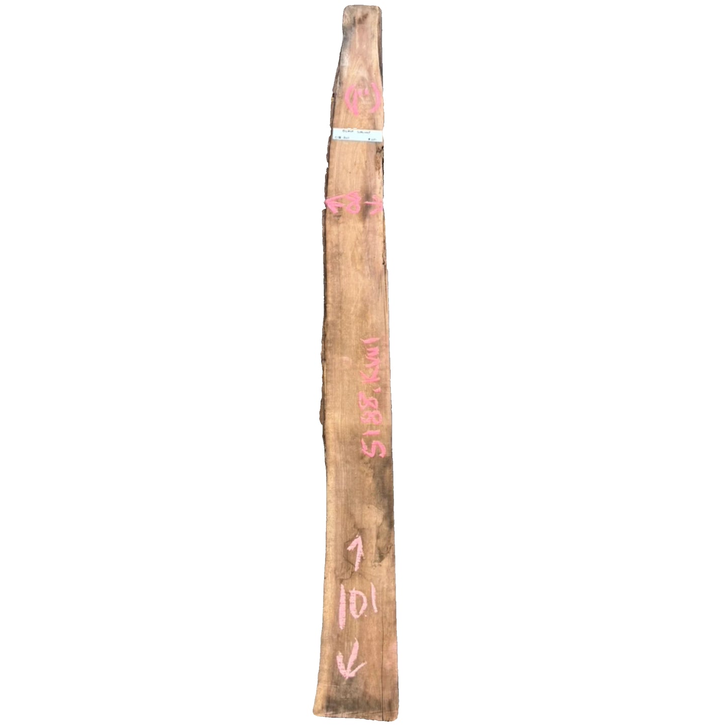 Black Walnut Live Edge Slab 5188.KWI