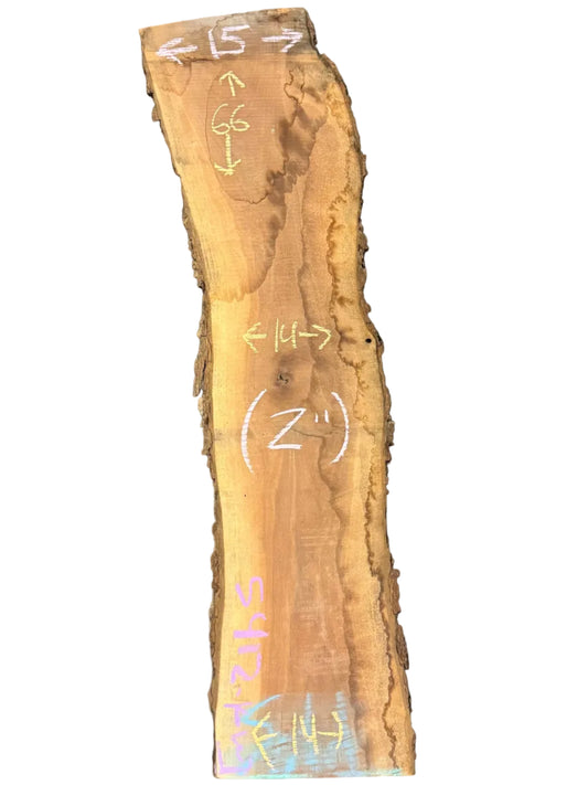 Black Walnut Live Edge Slab 5412.KWI