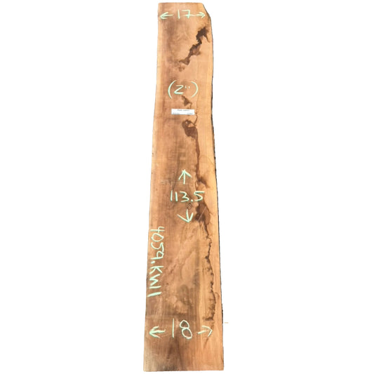 Black Walnut Live Edge Slab 4059.KWI