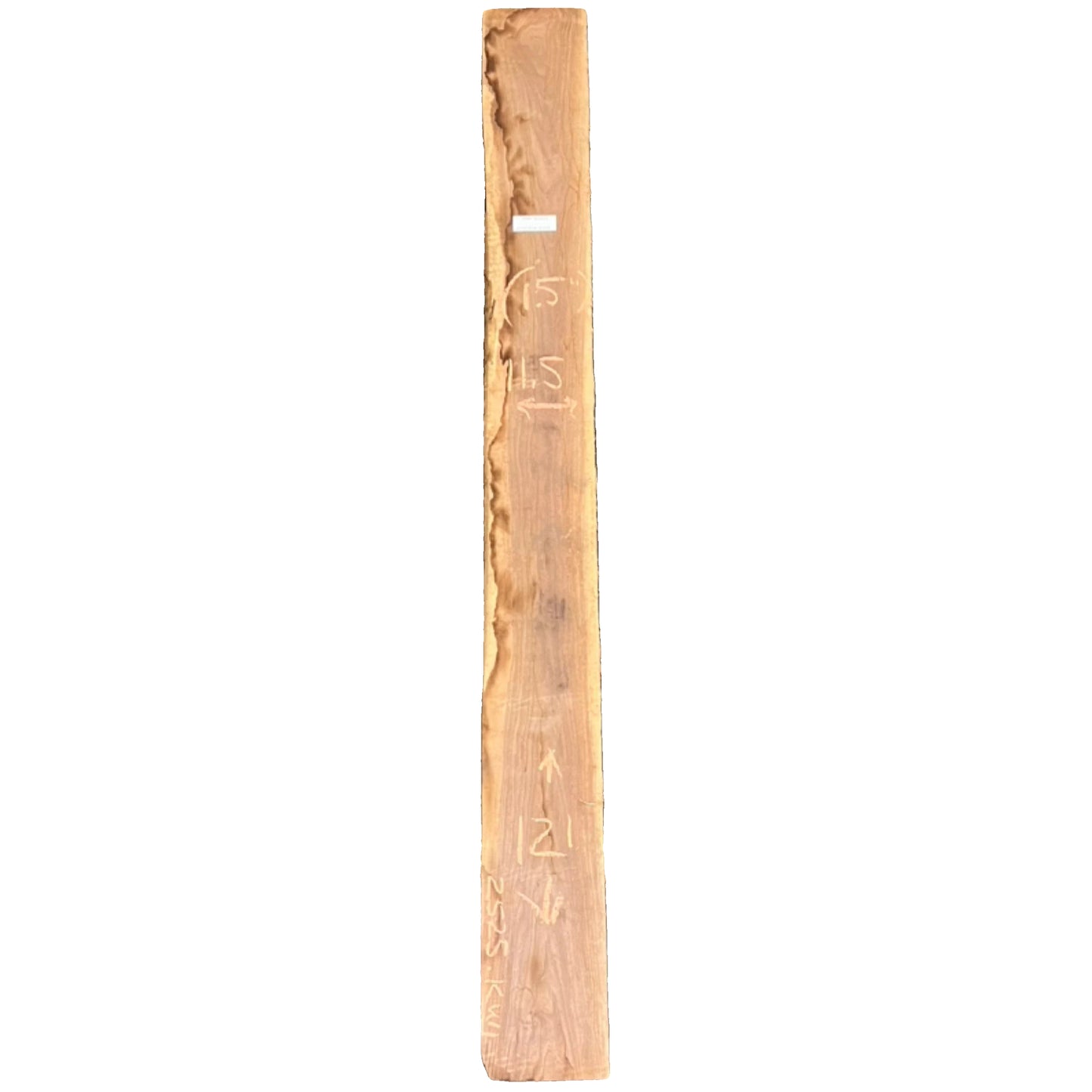 Black Walnut Live Edge Slab 2525.KWI