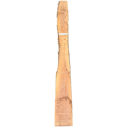 Black Walnut Live Edge Slab 5023.KWI