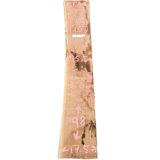 Black Walnut Live Edge Slab 5199.KWI