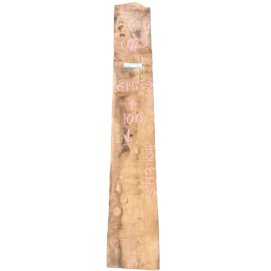 Black Walnut Rough Sawn Lumber 5193.KWI