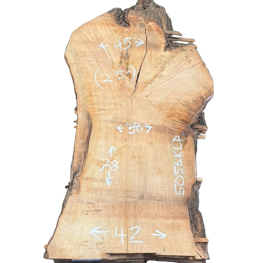 Black Willow Live Edge Slab 5056.KLD