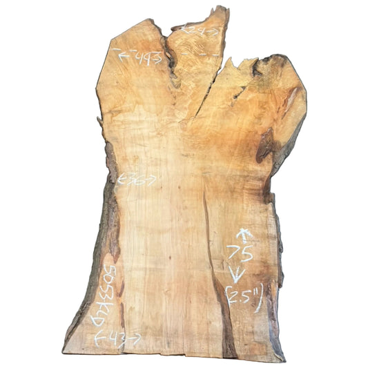 Black Willow Live Edge Slab 5053.KLD