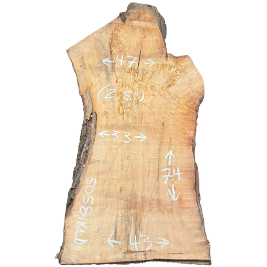 Black Willow Live Edge Slab 5058-KLD