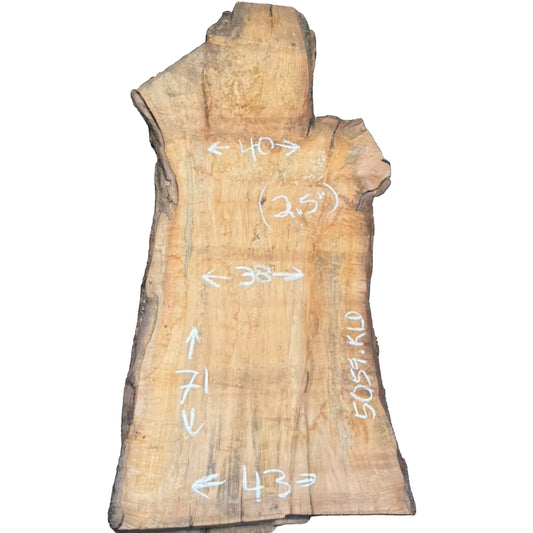 Black Willow Live Edge Slab 5059.KLD